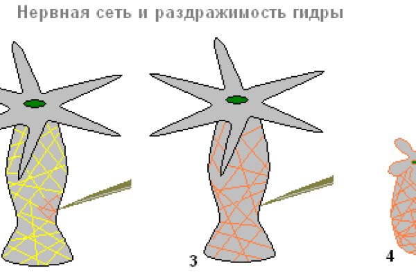 Как восстановить кракен