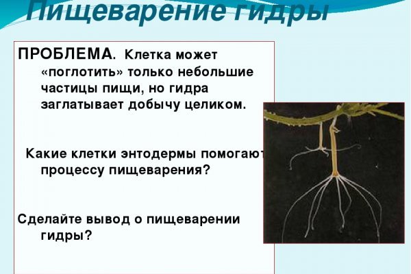 Кракен маркет даркнет только через торг