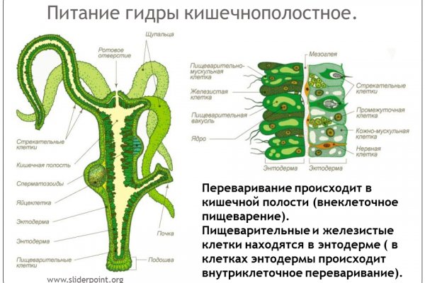 Как зайти на кракен через браузер