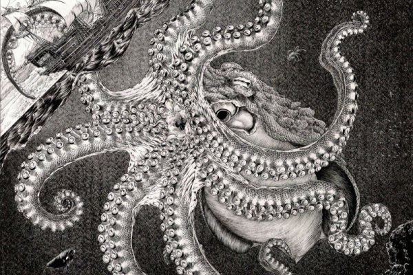 Как вывести деньги с kraken