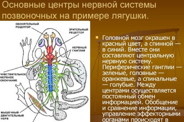 Рабочие ссылки и зеркала кракен