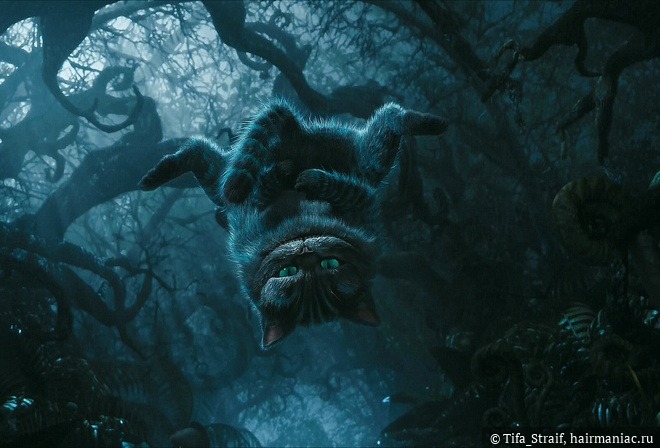 Не работает сайт kraken